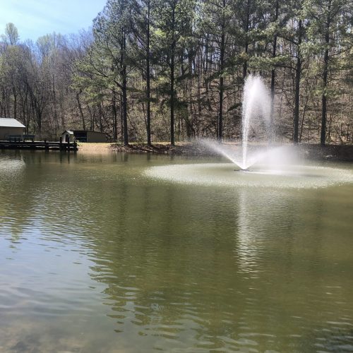 73411350505__EDF2A706-F4FB-4A0B-B684-3AFA5B6CE26D